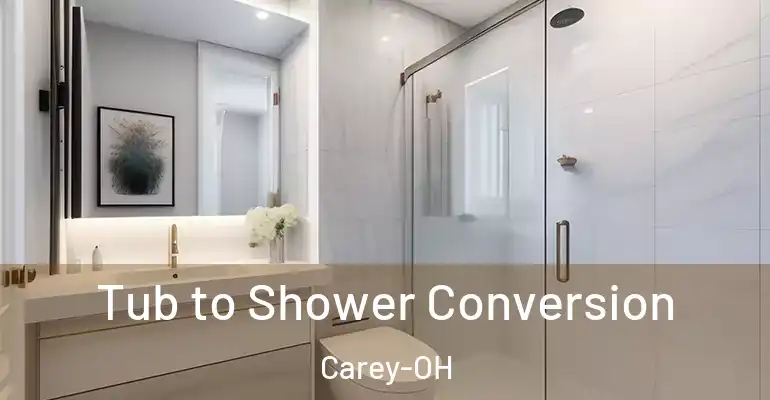 inner Bathroom imggen Tub to Shower Conversion Carey-OH