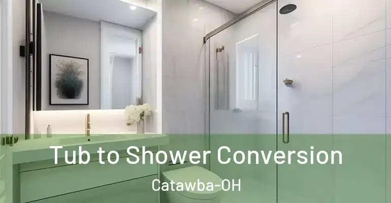 inner Bathroom imggen Tub to Shower Conversion Catawba-OH