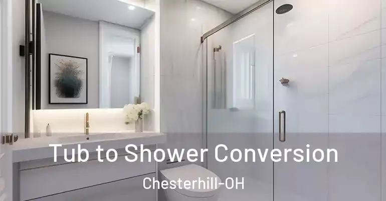 inner Bathroom imggen Tub to Shower Conversion Chesterhill-OH