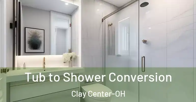 inner Bathroom imggen Tub to Shower Conversion Clay Center-OH