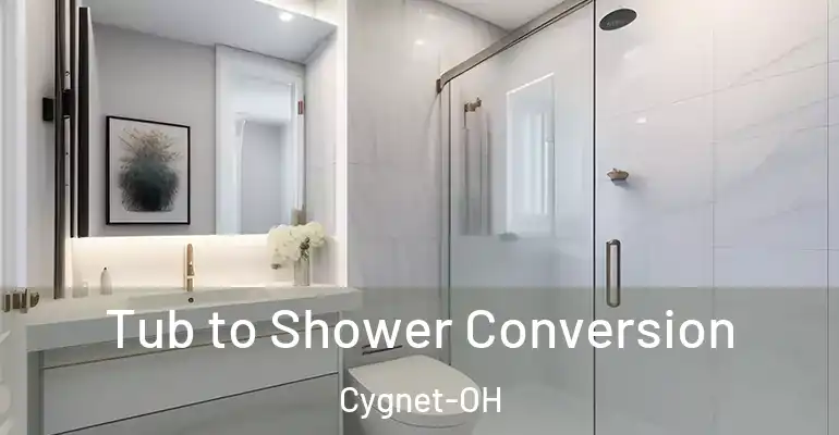 inner Bathroom imggen Tub to Shower Conversion Cygnet-OH