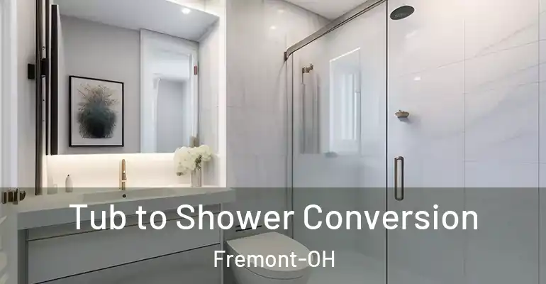 inner Bathroom imggen Tub to Shower Conversion Fremont-OH