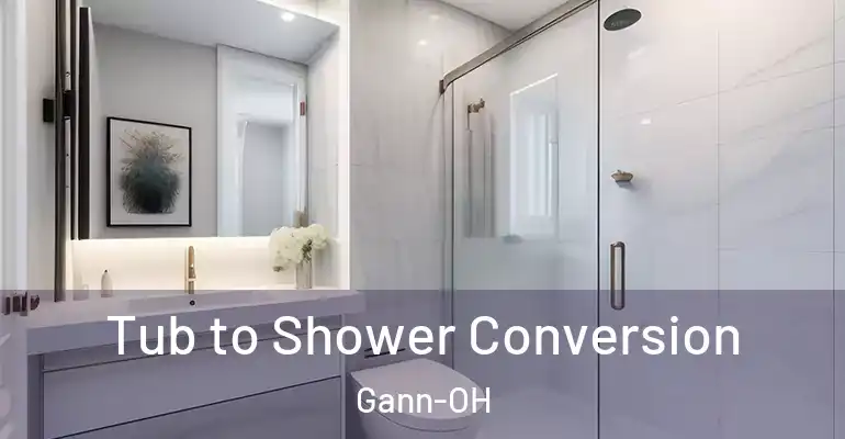 inner Bathroom imggen Tub to Shower Conversion Gann-OH