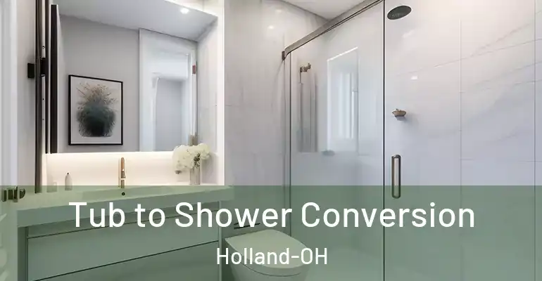inner Bathroom imggen Tub to Shower Conversion Holland-OH