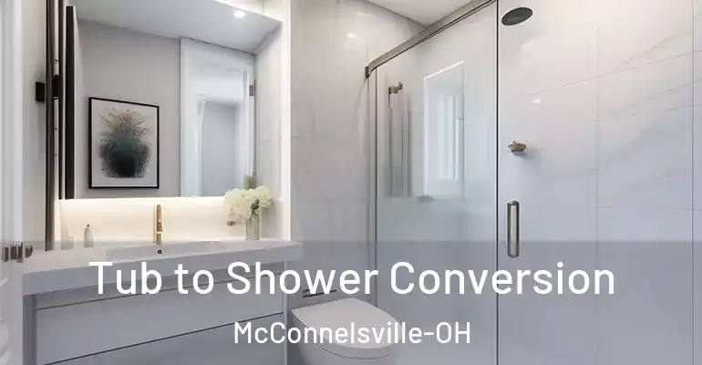 inner Bathroom imggen Tub to Shower Conversion McConnelsville-OH