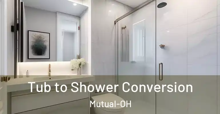 inner Bathroom imggen Tub to Shower Conversion Mutual-OH