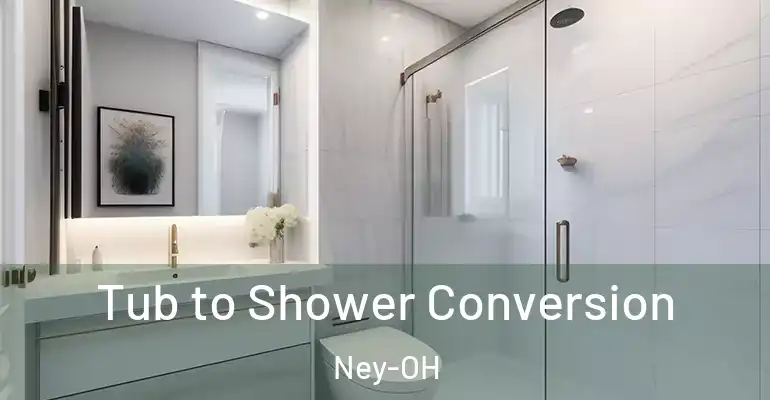 inner Bathroom imggen Tub to Shower Conversion Ney-OH