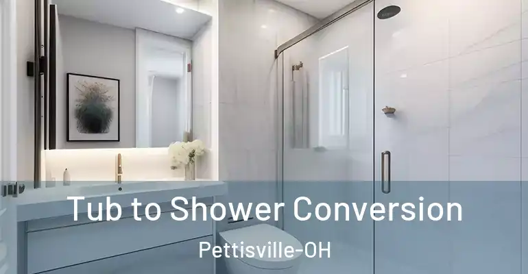 inner Bathroom imggen Tub to Shower Conversion Pettisville-OH