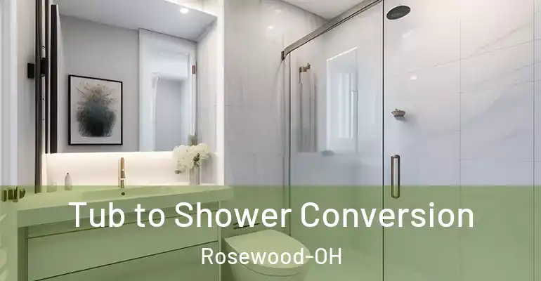 inner Bathroom imggen Tub to Shower Conversion Rosewood-OH