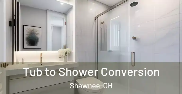 inner Bathroom imggen Tub to Shower Conversion Shawnee-OH