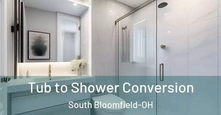 inner Bathroom imggen Tub to Shower Conversion South Bloomfield-OH