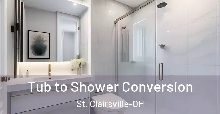 inner Bathroom imggen Tub to Shower Conversion St. Clairsville-OH