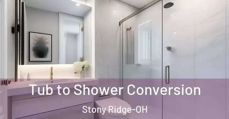inner Bathroom imggen Tub to Shower Conversion Stony Ridge-OH