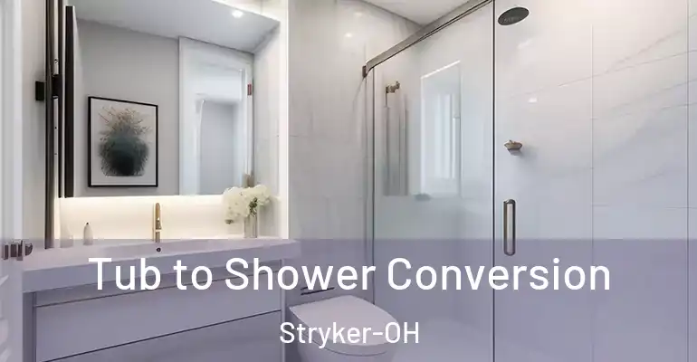 inner Bathroom imggen Tub to Shower Conversion Stryker-OH