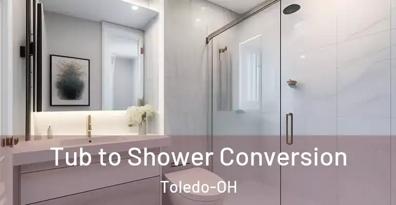inner Bathroom imggen Tub to Shower Conversion Toledo-OH