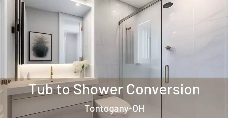 inner Bathroom imggen Tub to Shower Conversion Tontogany-OH