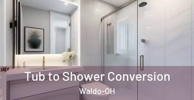 inner Bathroom imggen Tub to Shower Conversion Waldo-OH