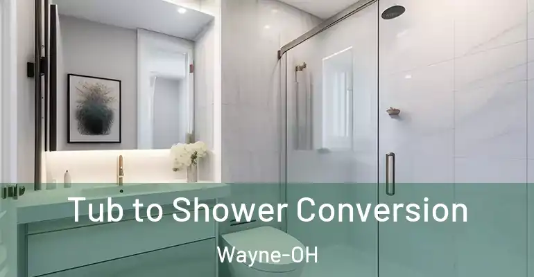 inner Bathroom imggen Tub to Shower Conversion Wayne-OH