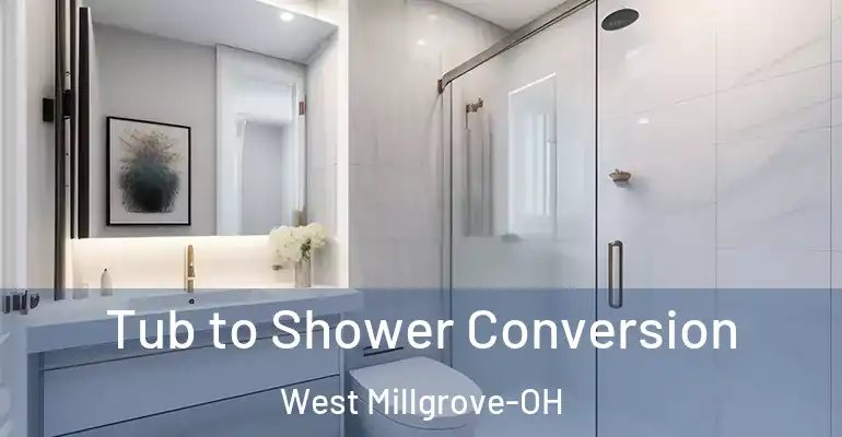 inner Bathroom imggen Tub to Shower Conversion West Millgrove-OH