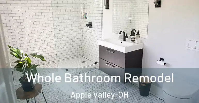 inner Bathroom imggen Whole Bathroom Remodel Apple Valley-OH