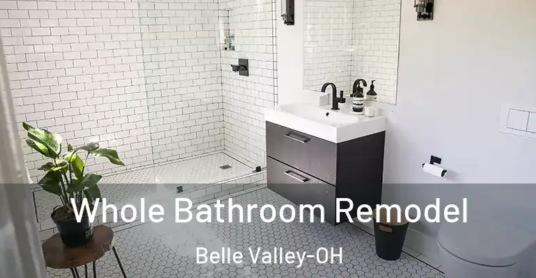 inner Bathroom imggen Whole Bathroom Remodel Belle Valley-OH