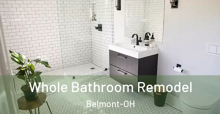 inner Bathroom imggen Whole Bathroom Remodel Belmont-OH