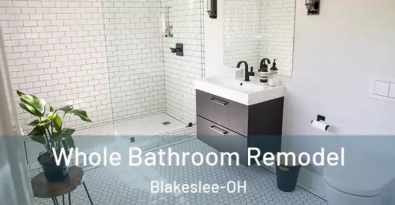 inner Bathroom imggen Whole Bathroom Remodel Blakeslee-OH