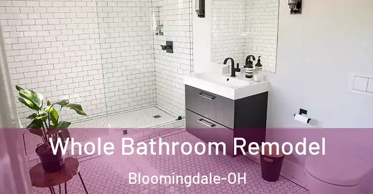 inner Bathroom imggen Whole Bathroom Remodel Bloomingdale-OH
