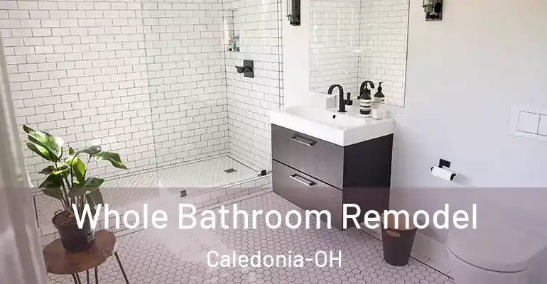inner Bathroom imggen Whole Bathroom Remodel Caledonia-OH