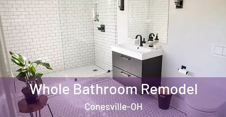 inner Bathroom imggen Whole Bathroom Remodel Conesville-OH