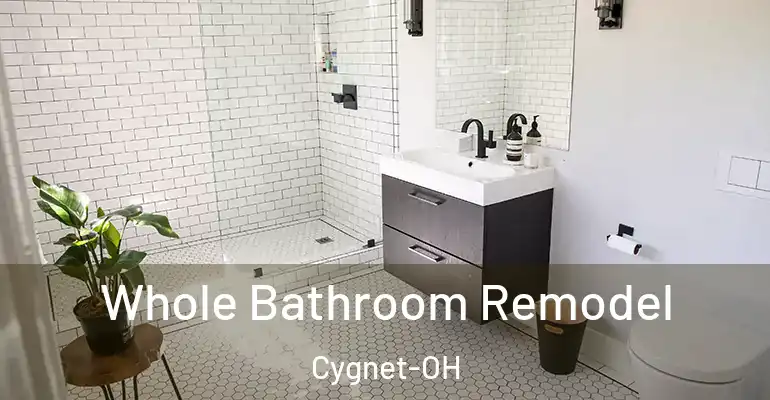 inner Bathroom imggen Whole Bathroom Remodel Cygnet-OH