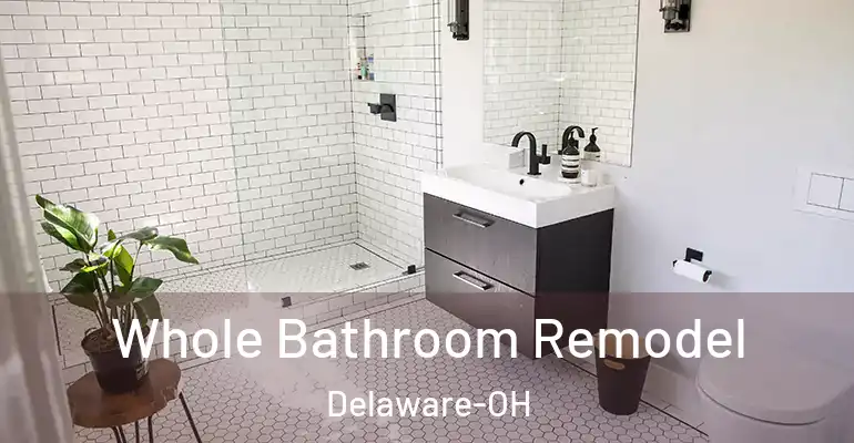 inner Bathroom imggen Whole Bathroom Remodel Delaware-OH