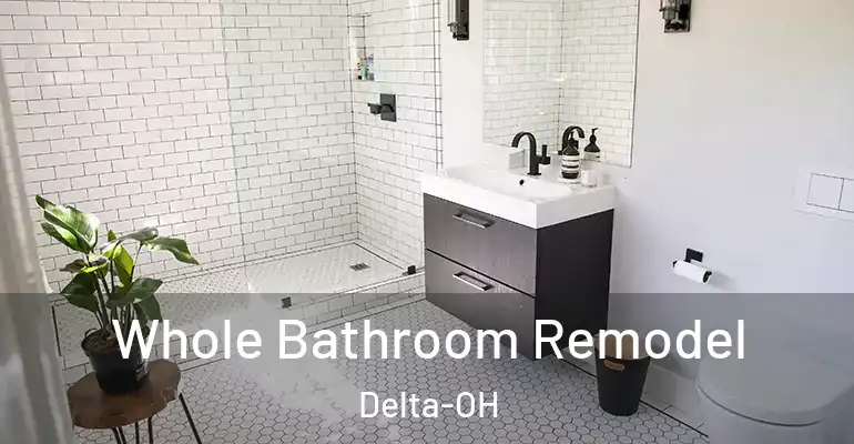 inner Bathroom imggen Whole Bathroom Remodel Delta-OH