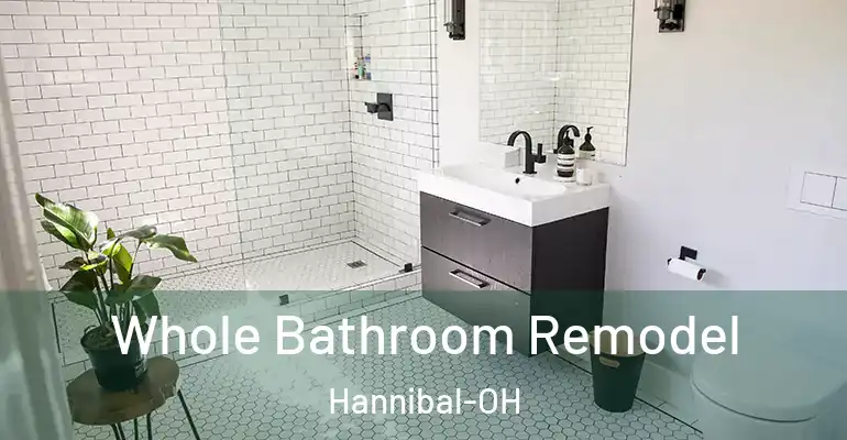 inner Bathroom imggen Whole Bathroom Remodel Hannibal-OH