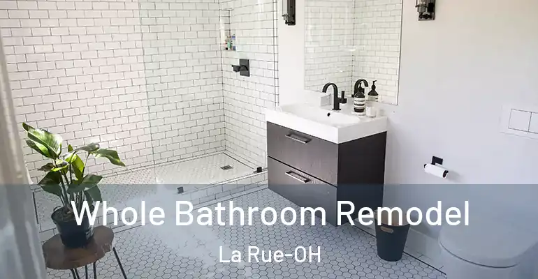 inner Bathroom imggen Whole Bathroom Remodel La Rue-OH
