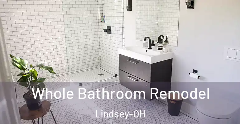 inner Bathroom imggen Whole Bathroom Remodel Lindsey-OH