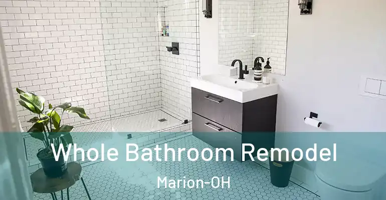 inner Bathroom imggen Whole Bathroom Remodel Marion-OH