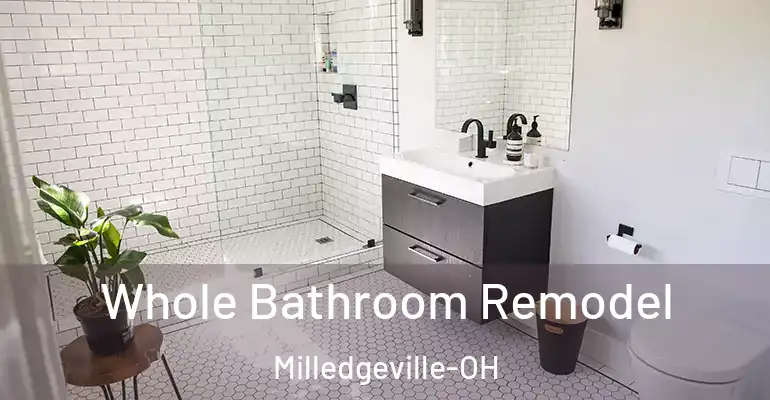 inner Bathroom imggen Whole Bathroom Remodel Milledgeville-OH