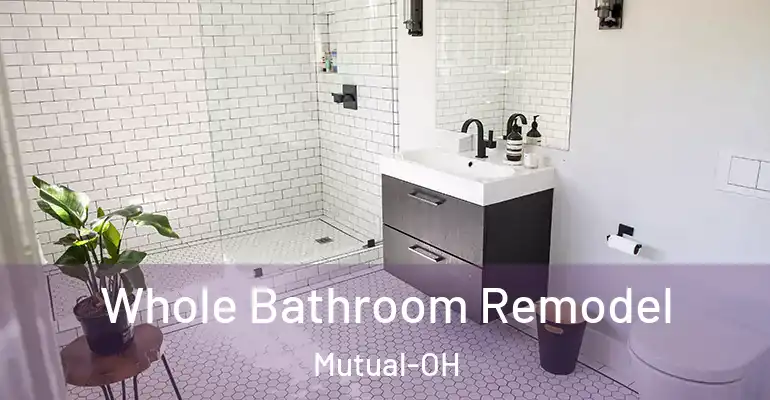 inner Bathroom imggen Whole Bathroom Remodel Mutual-OH