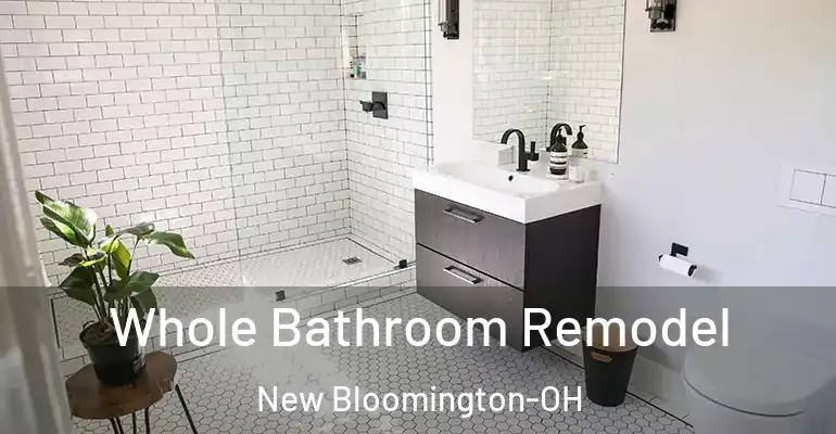 inner Bathroom imggen Whole Bathroom Remodel New Bloomington-OH