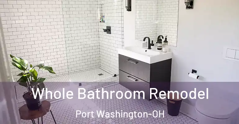 inner Bathroom imggen Whole Bathroom Remodel Port Washington-OH