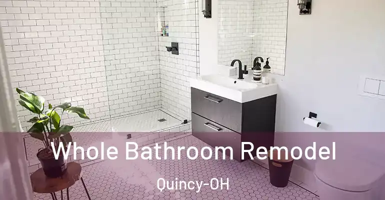 inner Bathroom imggen Whole Bathroom Remodel Quincy-OH