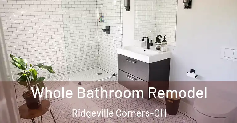 inner Bathroom imggen Whole Bathroom Remodel Ridgeville Corners-OH