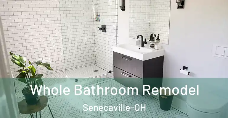 inner Bathroom imggen Whole Bathroom Remodel Senecaville-OH