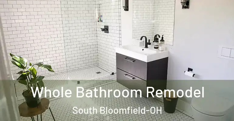 inner Bathroom imggen Whole Bathroom Remodel South Bloomfield-OH