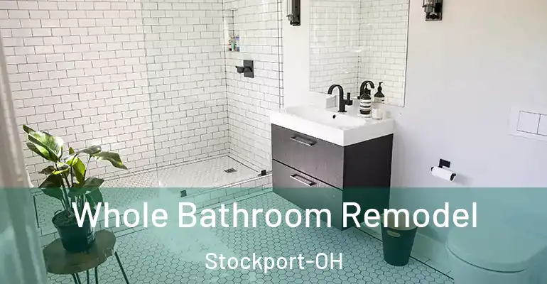 inner Bathroom imggen Whole Bathroom Remodel Stockport-OH
