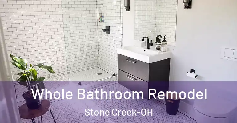 inner Bathroom imggen Whole Bathroom Remodel Stone Creek-OH