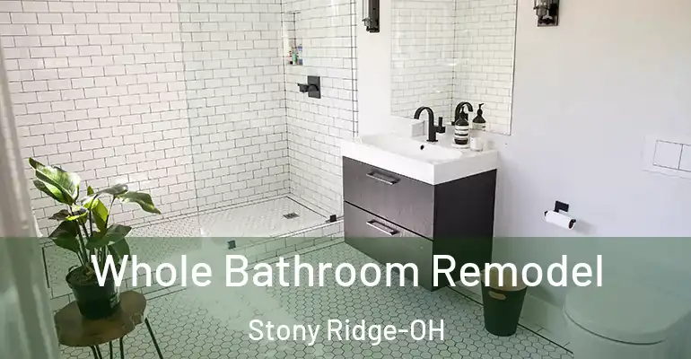 inner Bathroom imggen Whole Bathroom Remodel Stony Ridge-OH