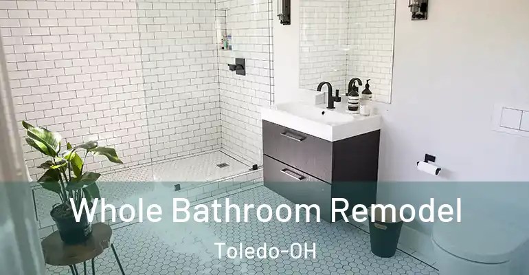inner Bathroom imggen Whole Bathroom Remodel Toledo-OH