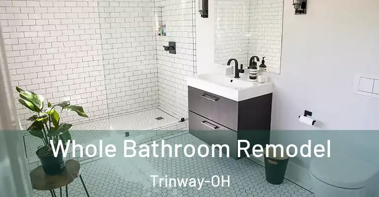 inner Bathroom imggen Whole Bathroom Remodel Trinway-OH